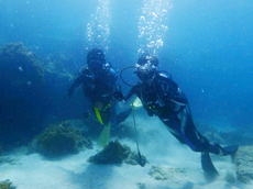 アクティビティ2